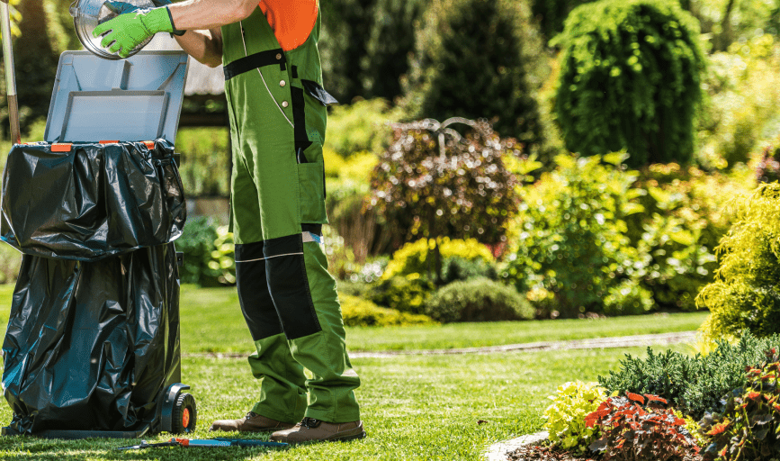 Yard Waste Removal